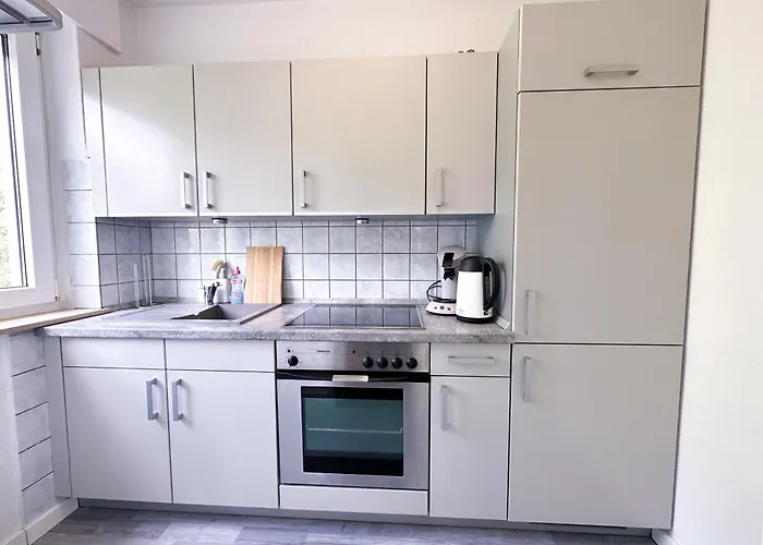 Stilvolles, Frisch Renoviertes 2Zi Apartment Mit Kueche Und Balkon In Kliniknaehe